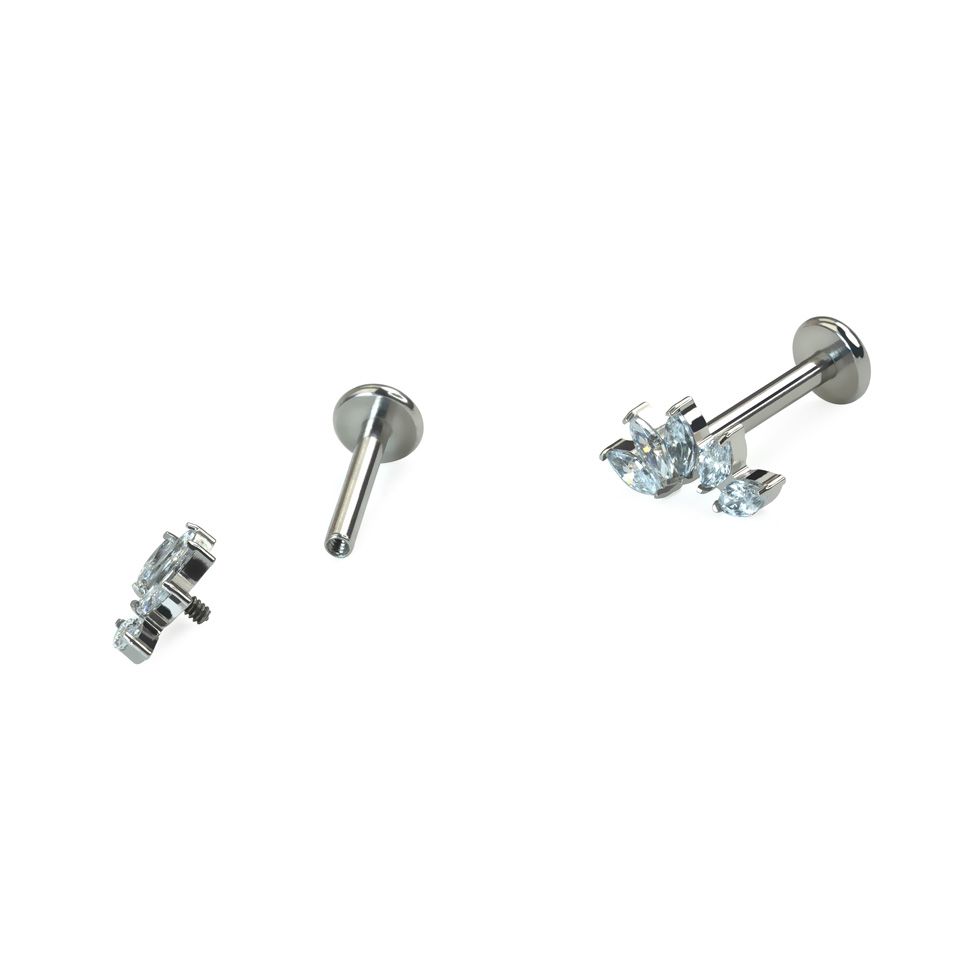 Kaardus titaanist labret 5 kiviga