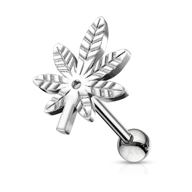 Kanepilehega kõrvaneet