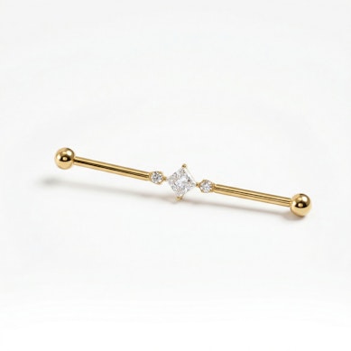 Titaanist industriaal barbell ruudust kiviga