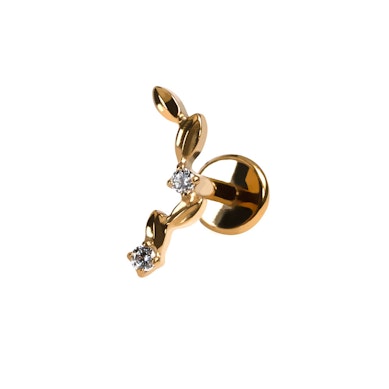 Titaanist kaardus labret lehtede ja kividega