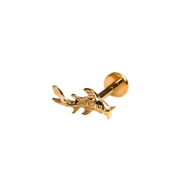 Koi kalaga titaanist labret