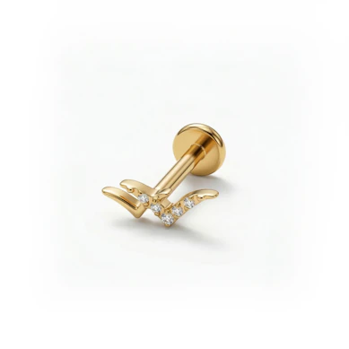 Titaanist lindudega labret