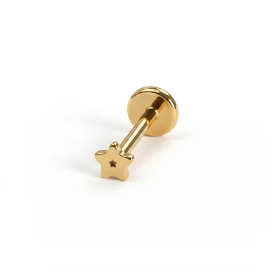 Väike titaanist tähega labret
