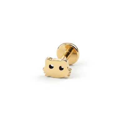 Nunnu kassinäoga titaanist labret