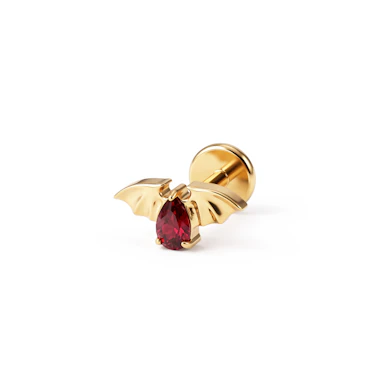 Pisike titaanist nahkhiire labret