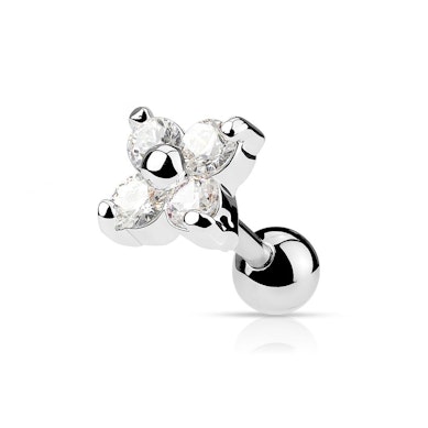 Tragus neet lillega