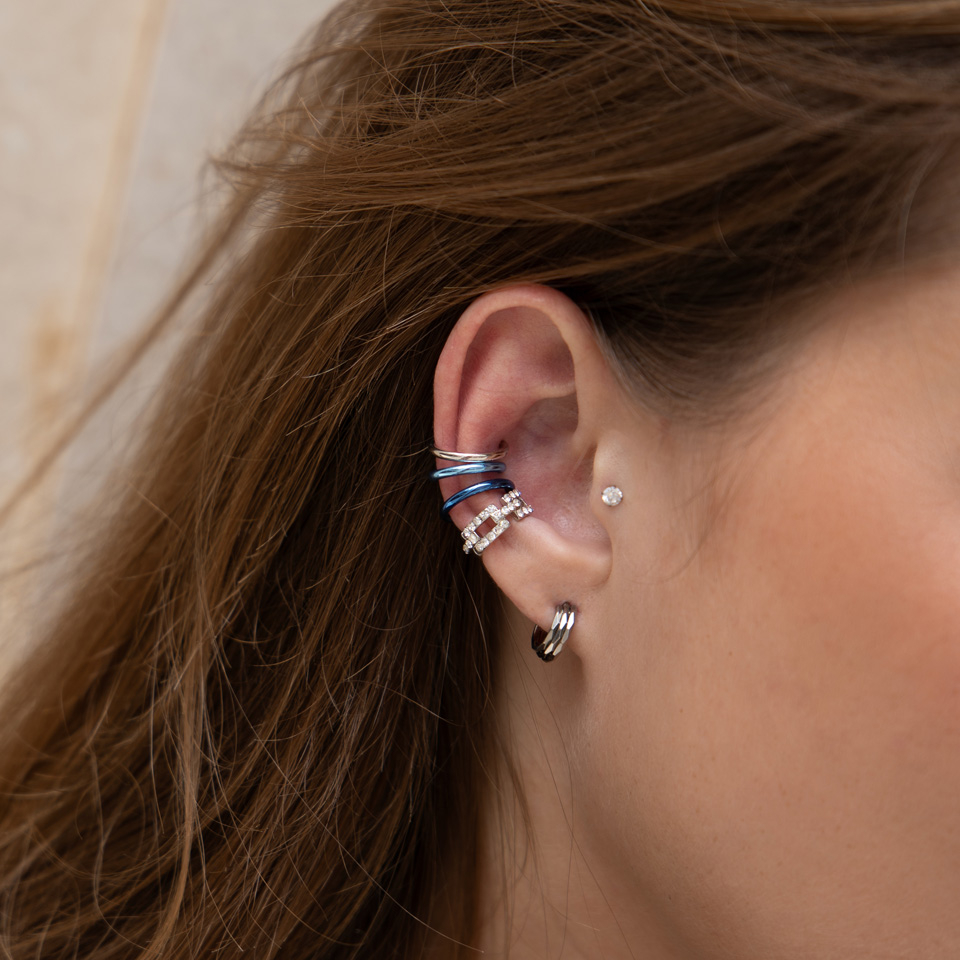 Pakis 8 võlts rõngasneeti