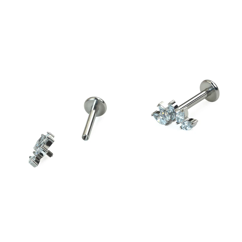 Kaardus titaanist labret 5 kiviga