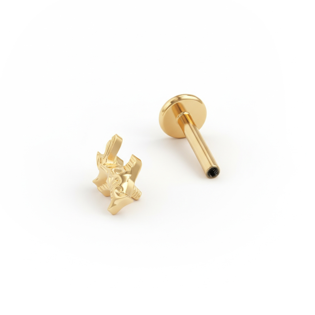 Koi kalaga titaanist labret