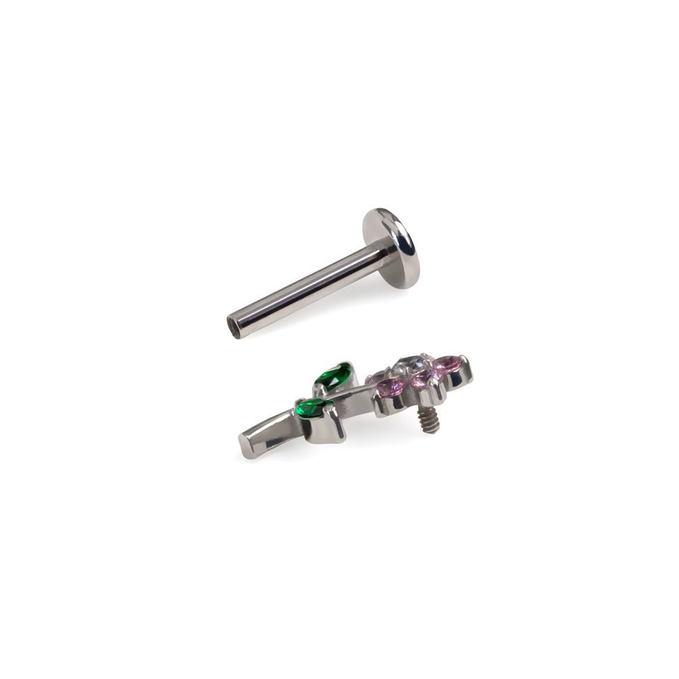 Armsa lillega lameda tagusega labret