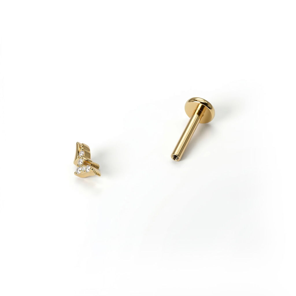 Titaanist lindudega labret