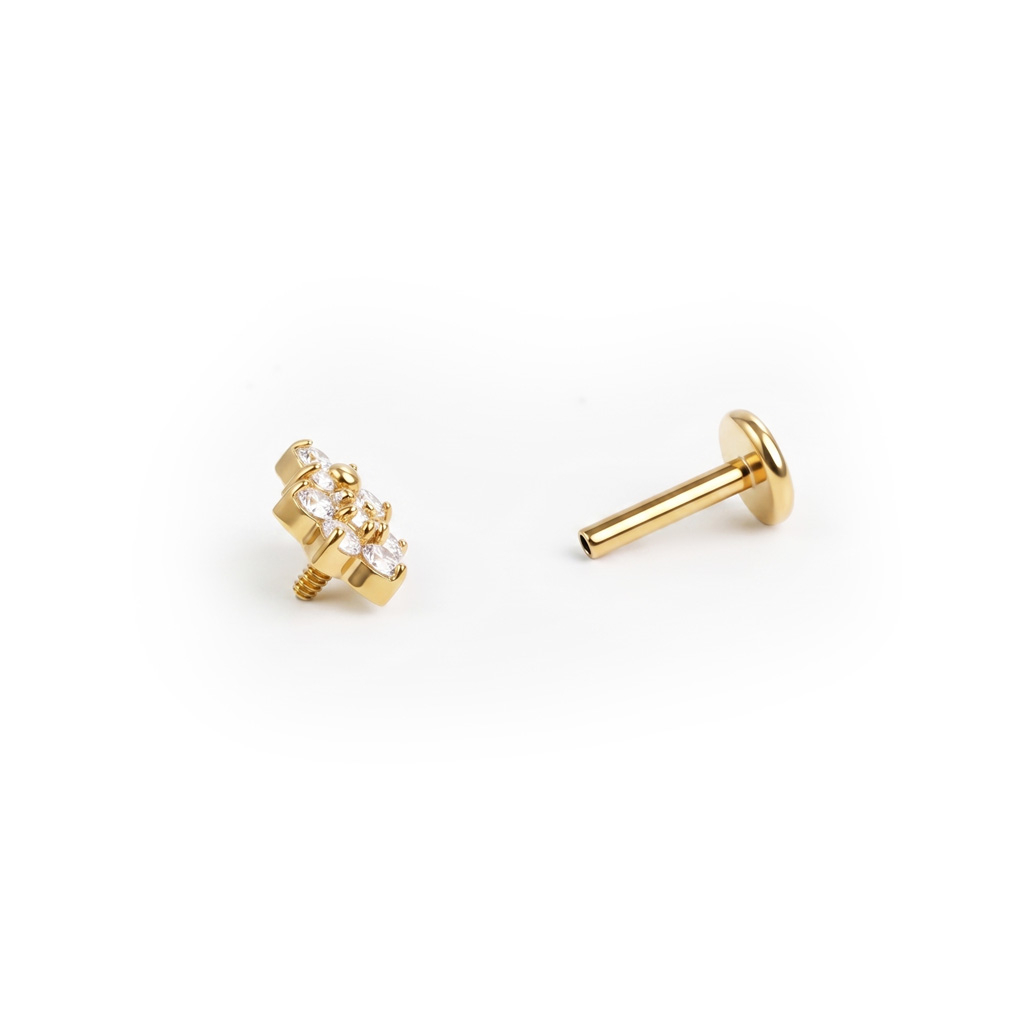 Kahe kividest lilledega titaanist labret