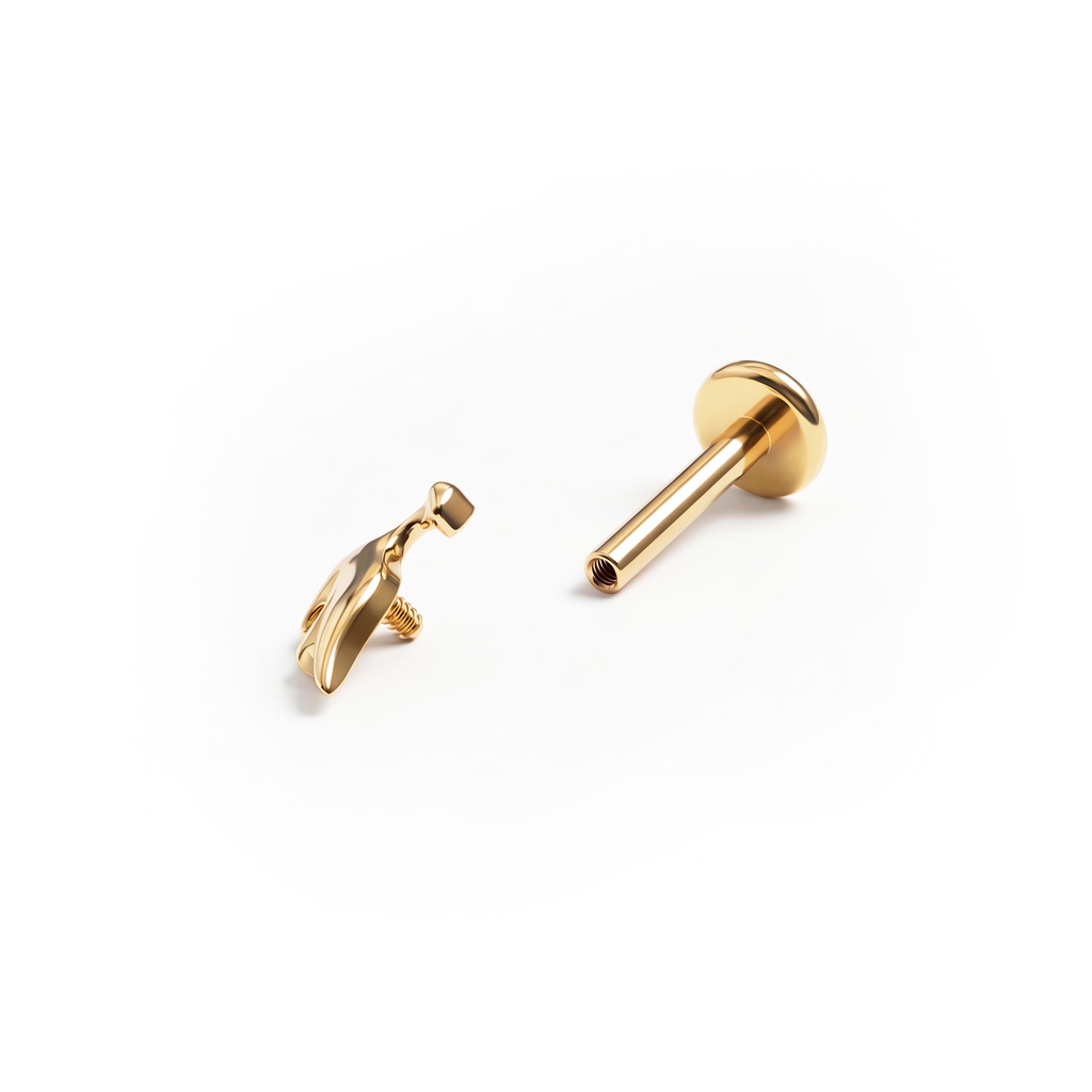 Titaanist dinosaurusega labret
