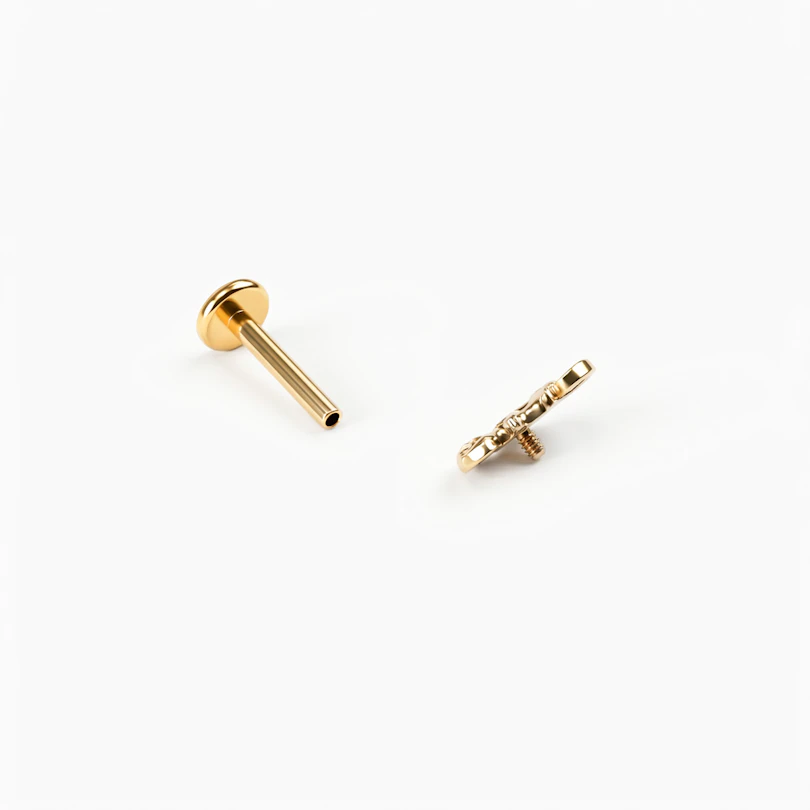 Titaanist kameeleoniga labret