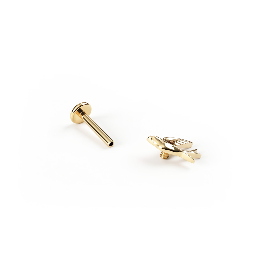 Titaanist pääsukesega labret